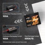 LiTime 12V 100Ah Bluetooth LiFePO4 Battery