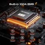 12V 100Ah LiFePO4 Lithium Battery with Smart BMS