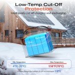 12V 100Ah LiFePO4 Lithium Battery with Smart BMS