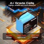 12V 100Ah LiFePO4 Lithium Battery with Smart BMS