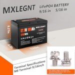 100Ah Lithium LiFePO4 Battery for Solar & RV