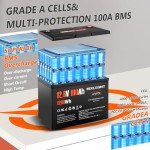 100Ah Lithium LiFePO4 Battery for Solar & RV