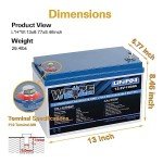 Weize 12V 100Ah Lithium Battery for Solar & RV
