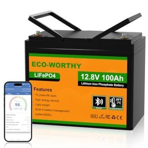 ECO-WORTHY 12V 100AH Bluetooth Lithium Battery