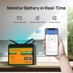ECO-WORTHY 12V 100AH Bluetooth Lithium Battery