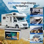 100Ah 24V Lithium LiFePO4 Battery with BMS