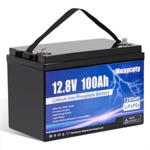 Meaycoty 12V 100Ah LiFePO4 Lithium Battery