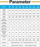 Weize 12V 100Ah Lithium Battery for Solar & RV