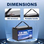 Meaycoty 12V 100Ah LiFePO4 Lithium Battery