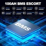 Meaycoty 12V 100Ah LiFePO4 Lithium Battery