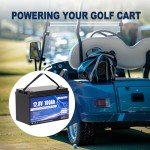 Meaycoty 12V 100Ah LiFePO4 Lithium Battery