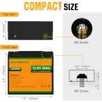 ECO-WORTHY 12V 20Ah LiFePO4 Rechargeable Battery