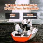 100Ah LiFePO4 Lithium Battery for Solar & RV