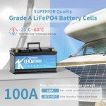 KEPWORTH 12.8V 100Ah LiFePO4 Rechargeable Battery