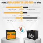 ECO-WORTHY 12V 20Ah LiFePO4 Rechargeable Battery