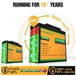 ECO-WORTHY 12V 20Ah LiFePO4 Rechargeable Battery