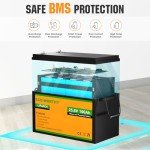 ECO-WORTHY 24V 100AH LiFePO4 Solar Battery