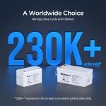 Renogy 100Ah Deep Cycle AGM Battery for Off-Grid