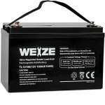 Weize 12V 100Ah AGM Deep Cycle Battery
