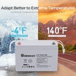 Renogy 100Ah Deep Cycle AGM Battery for Off-Grid