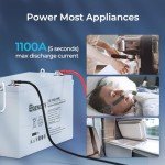 Renogy 100Ah Deep Cycle AGM Battery for Off-Grid