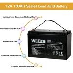 Weize 12V 100Ah AGM Deep Cycle Battery