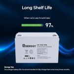 Renogy 100Ah Deep Cycle AGM Battery for Off-Grid