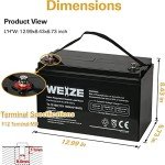WEIZE 12V 100Ah Deep Cycle Battery for Solar