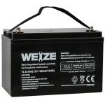 Weize 12V 100Ah AGM Deep Cycle Battery