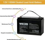 WEIZE 12V 100Ah Deep Cycle Battery for Solar