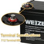 WEIZE 12V 100Ah Deep Cycle Battery for Solar