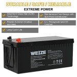 WEIZE 12V 200Ah AGM Deep Cycle Battery