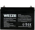 WEIZE 12V 100Ah Deep Cycle Battery for Solar