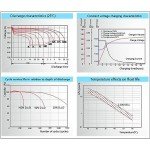 WEIZE 12V 200Ah AGM Deep Cycle Battery