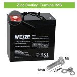 Weize 12V 55AH Deep Cycle Battery for Mobility