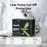 OKMO 12V 100Ah LiFePO4 Lithium Battery for Solar