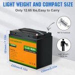 ECO-WORTHY 12V 50Ah LiFePO4 Lithium Battery