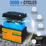 ECO-WORTHY 12V 50Ah LiFePO4 Lithium Battery