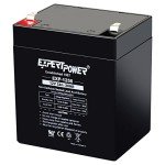 ExpertPower 12V 5Ah Alarm Battery with F1 Terminals