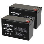 ExpertPower 12V 9Ah Sealed Lead Acid Battery Duo