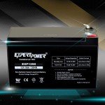 ExpertPower 12V 9Ah Sealed Lead Acid Battery Duo