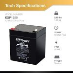 ExpertPower 12V 5Ah Alarm Battery with F1 Terminals