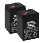 Miady 6V 5Ah Rechargeable Lead Acid Batteries - 2 Pack