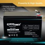 ExpertPower 12V 7Ah Sealed Lead Acid Battery