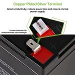 WEIZE 12V 12Ah Sealed Lead Acid Battery - 2 Pack