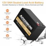 Autocessking 12V 9AH AGM Battery for UPS