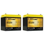 ExpertPower 2 Pack 12V 35AH Gel Deep Cycle Batteries