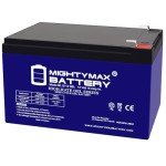 Mighty Max 12V 15AH Gel Battery for Goal Zero