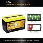 ExpertPower 12V 100AH Solar Gel Battery
