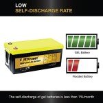 ExpertPower 12V 200AH Gel Battery for Solar Use